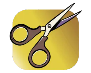 Papierträume Kurse bei Grosswerk